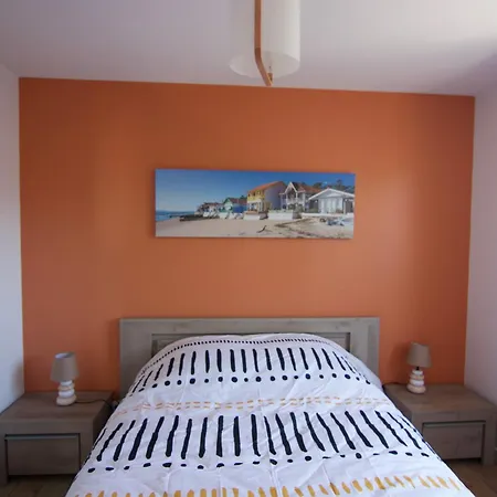 Coquillage Willa Le Teich